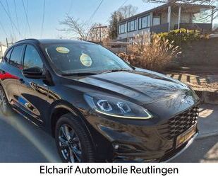 Ford Kuga Gebrauchtwagen
