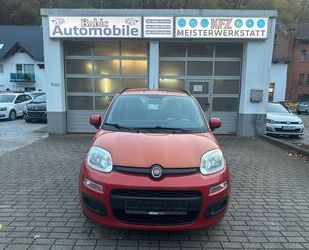 Fiat Panda Gebrauchtwagen