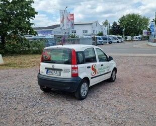 Fiat Panda Gebrauchtwagen