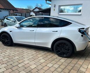 Tesla Model Y Gebrauchtwagen