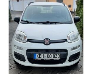 Fiat Panda Gebrauchtwagen