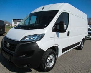 Fiat Ducato Gebrauchtwagen