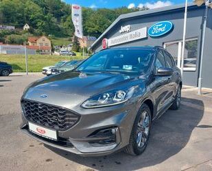 Ford Kuga Gebrauchtwagen