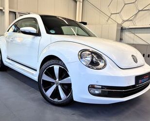 VW Beetle Gebrauchtwagen