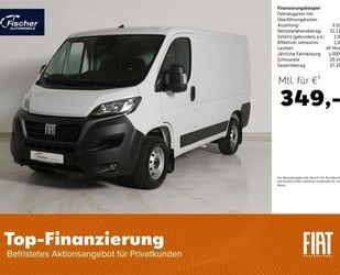 Fiat Ducato Gebrauchtwagen
