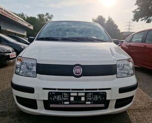 Fiat Panda Gebrauchtwagen