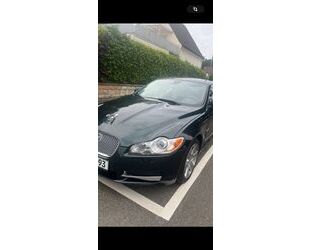 Jaguar XF Gebrauchtwagen