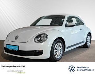 VW Beetle Gebrauchtwagen