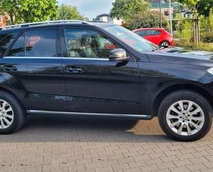 Mercedes-Benz ML 250 Gebrauchtwagen