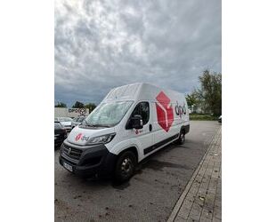 Fiat Ducato Gebrauchtwagen