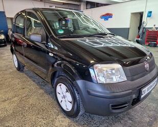 Fiat Panda Gebrauchtwagen