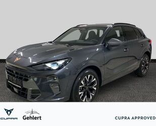 Cupra Terramar Gebrauchtwagen