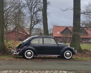 VW Käfer Gebrauchtwagen