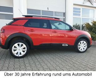 Citroen C4 Cactus Gebrauchtwagen