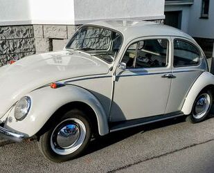 VW Käfer Gebrauchtwagen