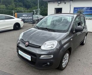 Fiat Panda Gebrauchtwagen
