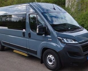 Fiat Ducato Gebrauchtwagen