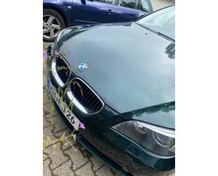 BMW 523 Gebrauchtwagen