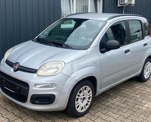 Fiat Panda Gebrauchtwagen