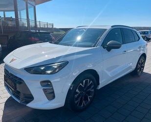 Cupra Terramar Gebrauchtwagen