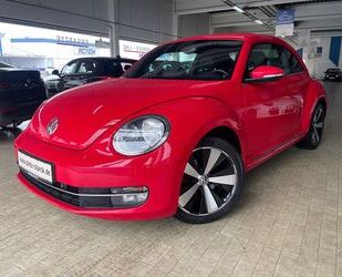 VW Beetle Gebrauchtwagen