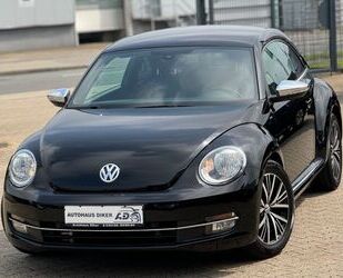 VW Beetle Gebrauchtwagen