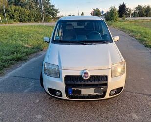 Fiat Panda Gebrauchtwagen