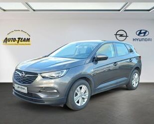 Opel Opel Grandland X 1.2 8 Gang Automatik Edition Gebrauchtwagen
