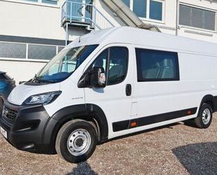 Fiat Ducato Gebrauchtwagen
