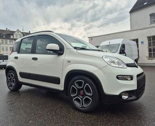 Fiat Panda Gebrauchtwagen