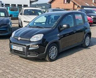 Fiat Panda Gebrauchtwagen