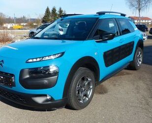 Citroen C4 Cactus Gebrauchtwagen