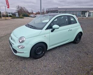 Fiat 500 Gebrauchtwagen