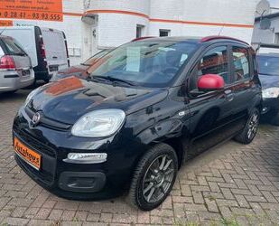 Fiat Panda Gebrauchtwagen