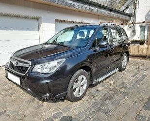 Subaru Forester Gebrauchtwagen