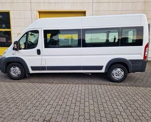 Fiat Ducato Gebrauchtwagen