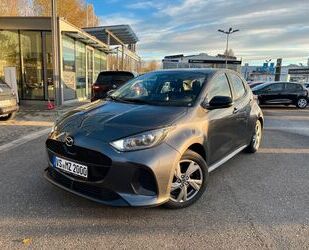 Mazda 2 Gebrauchtwagen