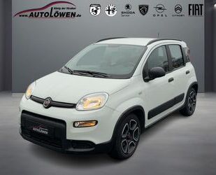 Fiat Panda Gebrauchtwagen