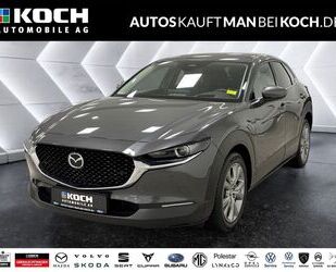Mazda CX-30 Gebrauchtwagen