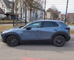 Mazda CX-30 Gebrauchtwagen