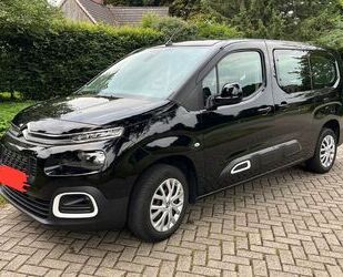 Citroen Berlingo Gebrauchtwagen