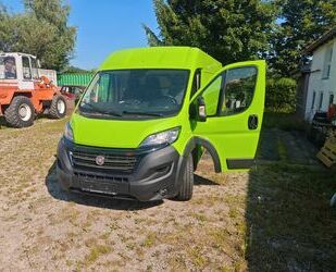 Fiat Ducato Gebrauchtwagen