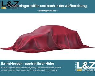 Dacia Spring Gebrauchtwagen
