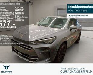 Cupra Terramar Gebrauchtwagen