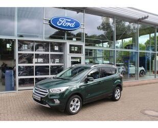 Ford Kuga Gebrauchtwagen
