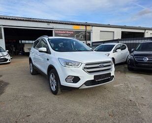 Ford Kuga Gebrauchtwagen
