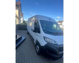 Fiat Ducato Gebrauchtwagen