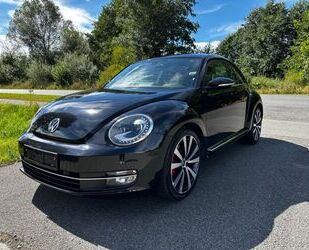VW Beetle Gebrauchtwagen