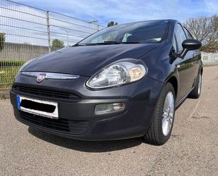 Fiat Punto Evo Gebrauchtwagen