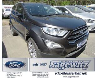 Ford EcoSport Gebrauchtwagen